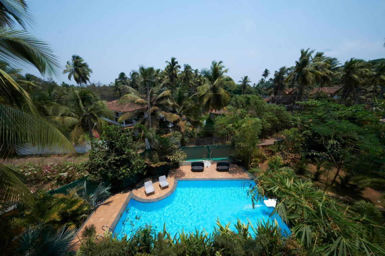 Fig House Anjuna-Chapora Road , Siolim 1Bhk Suite Oxel المظهر الخارجي الصورة